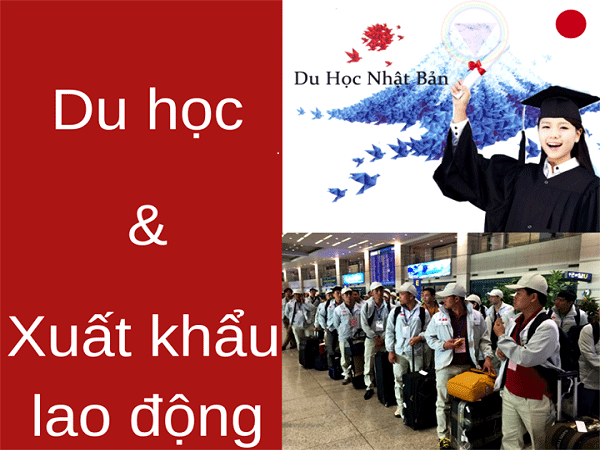So sánh giữa xuất khẩu lao động và du học vừa học làm tại Nhật Bản